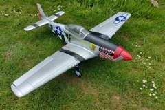 002-Mustang