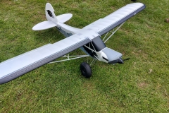 026-Kingfisher-Grey-White